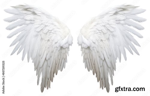 White Angel Wing Bird White Background Archangel 6xJPEG