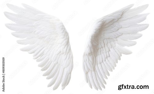 White Angel Wing Bird White Background Archangel 6xJPEG