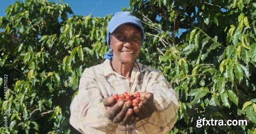 Farmer Showing Picked Red Coffee Beans 5xJPEG