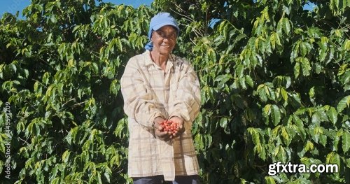 Farmer Showing Picked Red Coffee Beans 5xJPEG