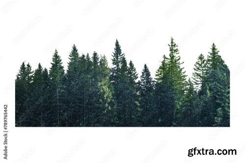 Pine Forest Divider Png Sticker 6xJPEG