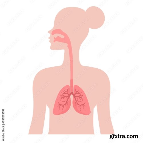 Healthy Lungs 6xAI