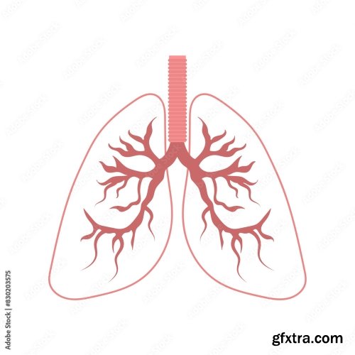 Healthy Lungs 6xAI