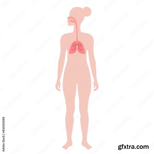 Healthy Lungs 6xAI