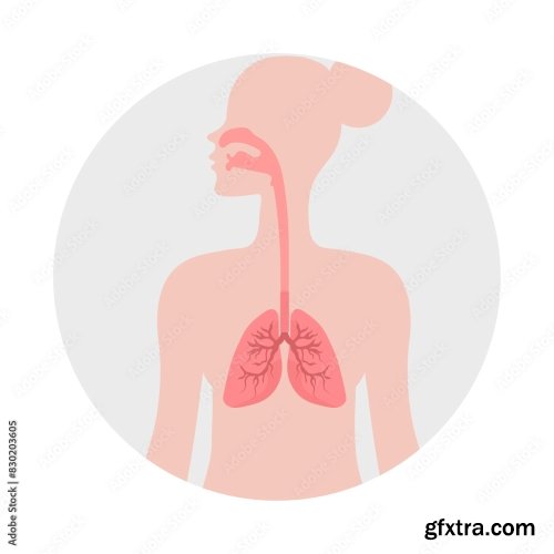 Healthy Lungs 6xAI