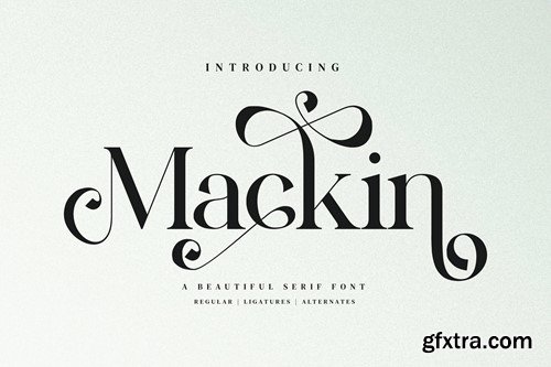 Mackin - Beautiful Ligature Font ZN63DRM