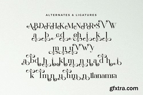 Mackin - Beautiful Ligature Font ZN63DRM