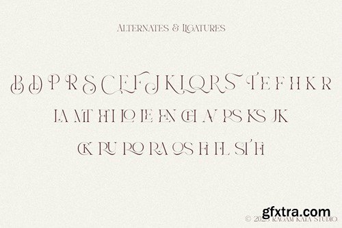 Boraos - Elegance Serif Font W9YVGMU