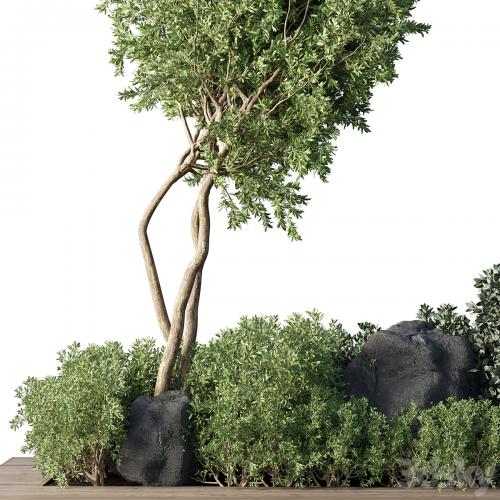 Collection Outdoor Indoor plant 67_green garden plant-tree-bush corona