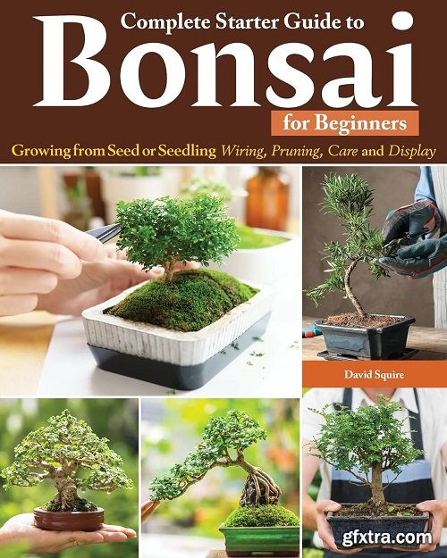 Complete Starter Guide to Bonsai: Growing from Seed or Seedling--Wiring, Pruning, Care, and Display