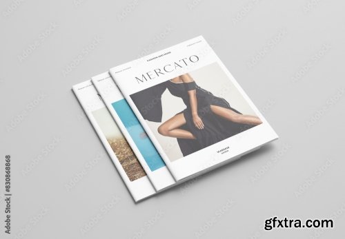 Magazine Mockup 5xPSD