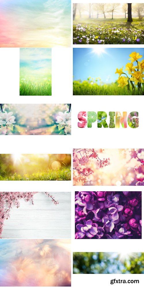 Amazing Photos, Spring Background 100xJPEG