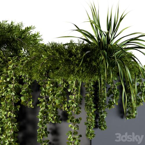 ivy plants in box - Outdoor Set 62