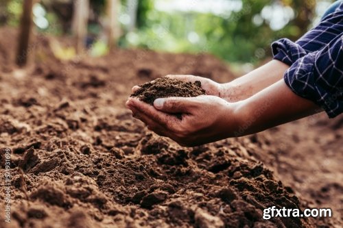 Soil Quality Agriculture, Gardening Concept 4xCRDOWNLOAD