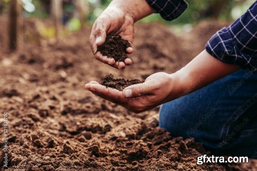 Soil Quality Agriculture, Gardening Concept 4xCRDOWNLOAD