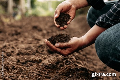 Soil Quality Agriculture, Gardening Concept 4xCRDOWNLOAD