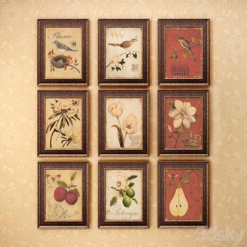 The picture in the frame: 13 pieces (collection 62) Birds