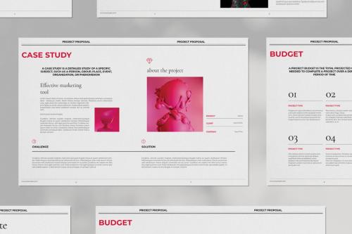 Red Project Proposal Brochure Layout