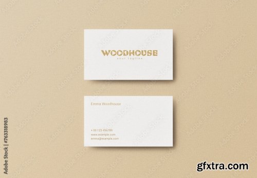 Business Card Mockup 2 10xPSD