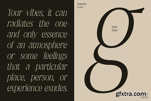 Kapvile – Elegant Font 8XN4M6T