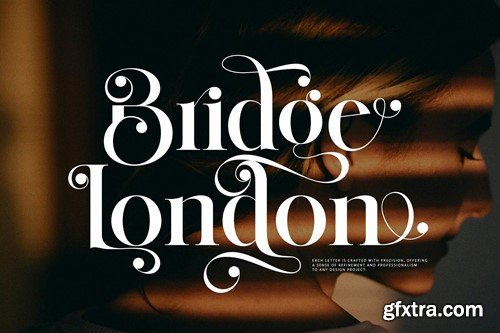 Qid Bronste Elegant Serif Font Typeface V5FUHEQ