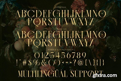 CASSEROS MASSCOTTES Ligature Serif Typeface V855SD4