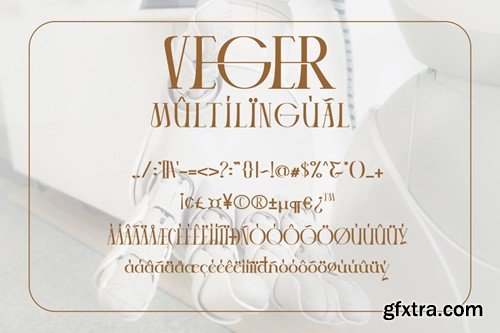 VEGER - Modern Elegant Font 2D8PL5V