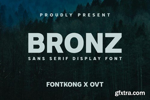 Bronz - Sans Serif Display Font BHXT7CP