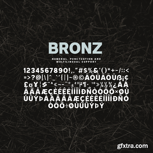 Bronz - Sans Serif Display Font BHXT7CP