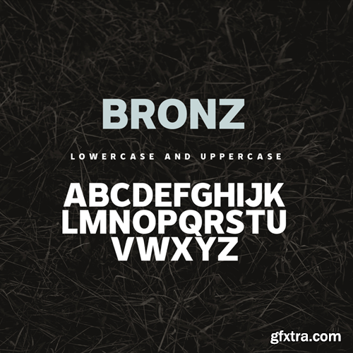 Bronz - Sans Serif Display Font BHXT7CP