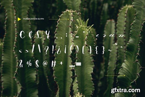 Ochaytte - Fun Script Font XTGX6NR