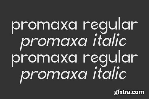 Promaxa Sans Font S47UQ95