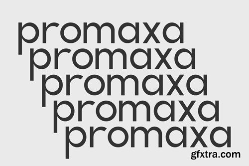 Promaxa Sans Font S47UQ95