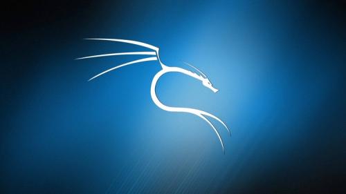 Udemy - Kali Linux For Ethical Hacking v3.0: Beginner to PRO