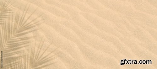 Blurred Shadow From Palm Leaves On Beach Sand Texture 6xJPEG