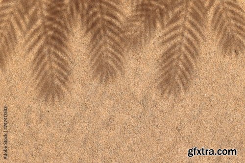 Blurred Shadow From Palm Leaves On Beach Sand Texture 6xJPEG