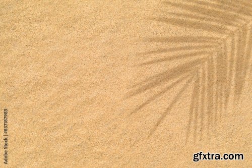 Blurred Shadow From Palm Leaves On Beach Sand Texture 6xJPEG