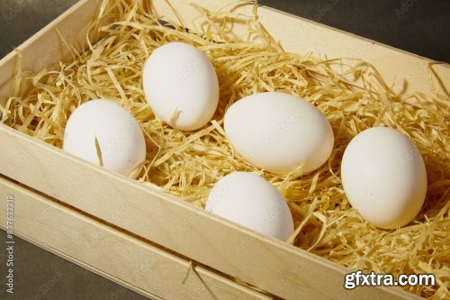 Chicken Eggs In A Wooden Crate 6xJPEG