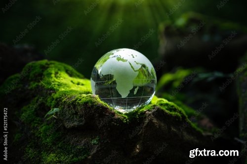 Crystal Globe Putting On Moss Ecology And Environment Sustainable Concept 8xJPEG