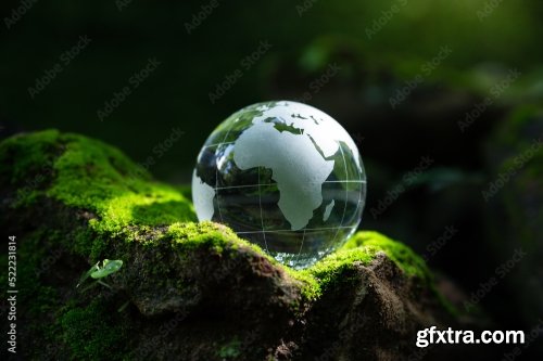 Crystal Globe Putting On Moss Ecology And Environment Sustainable Concept 8xJPEG