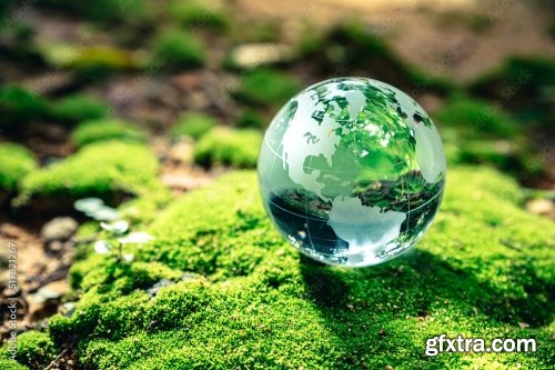 Crystal Globe Putting On Moss Ecology And Environment Sustainable Concept 8xJPEG