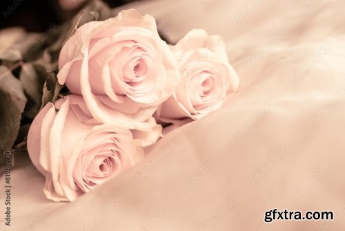 The Branch Of Pink Roses On White Fabric Background 6xJPEG