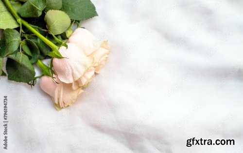 The Branch Of Pink Roses On White Fabric Background 6xJPEG