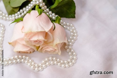 The Branch Of Pink Roses On White Fabric Background 6xJPEG