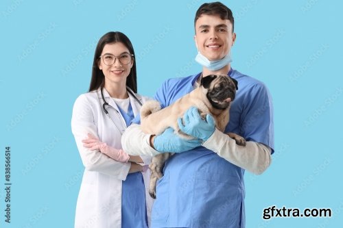 Young Veterinarians Brushing Pug Dog\'s Teeth 6xJPEG