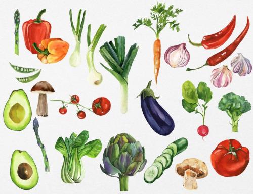 Organic Food: Watercolor Vegetables and Fruits