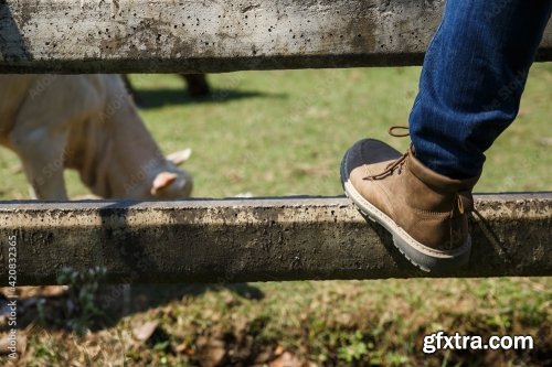 The Farmer Holding Fork In His Farm Agriculture And Livestock Concept 6xJPEG