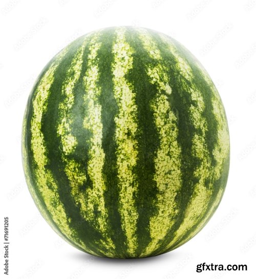 Watermelon Isolated On A White Background 24xJPEG