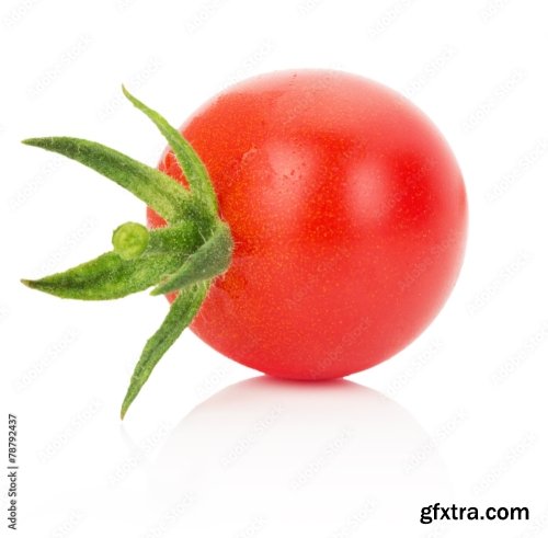 Tomato Isolated On A White Background 19xJPEG