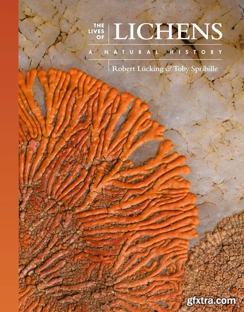 The Lives of Lichens: A Natural History